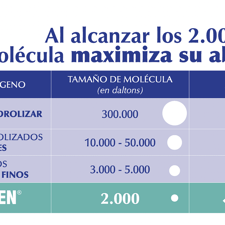  Colagden (90 CAPS) Peptidos de Colagenos Hidrolizado  6
