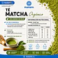 Té Matcha Orgánico Manare 20 Sachets | Energía - Miniatura 2