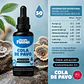 Cola de Pavo en Gotas Mundo Fungi 50 ml | Extracto 3:1 - Miniatura 2