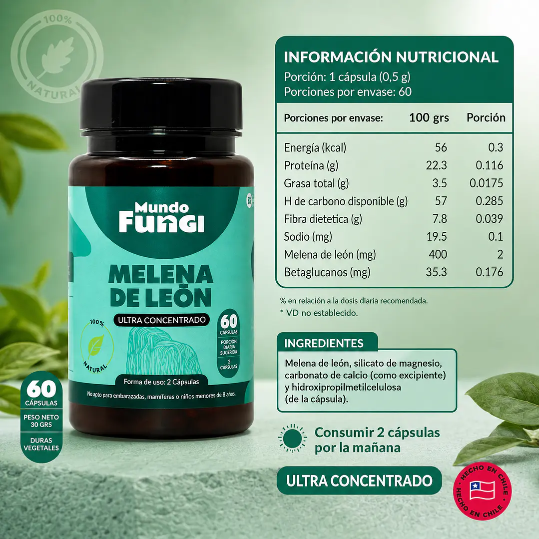 Melena de León Mundo Fungi 60 Cápsulas | Extracto Ultra Concentrado 2