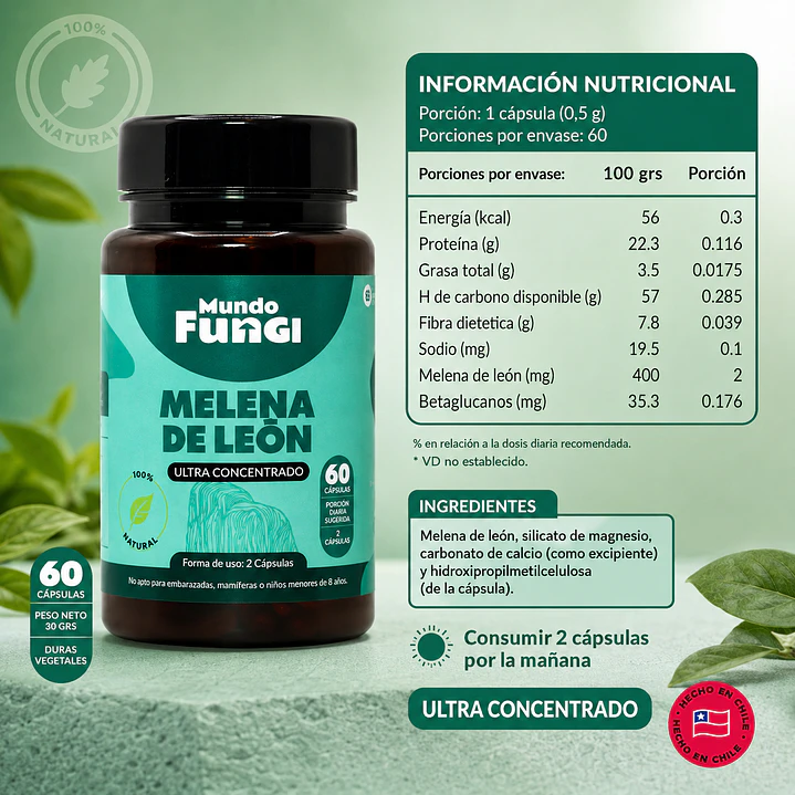 Melena de León Mundo Fungi 60 Cápsulas | Extracto Ultra Concentrado 2