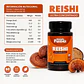 Reishi Mundo Fungi 60 Cápsulas | Ganoderma lucidum - Miniatura 2