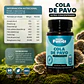 Cola de Pavo Mundo Fungi 60 Cápsulas | Trametes versicolor - Miniatura 2