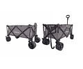 Carro Wagon Gris Plegable - 