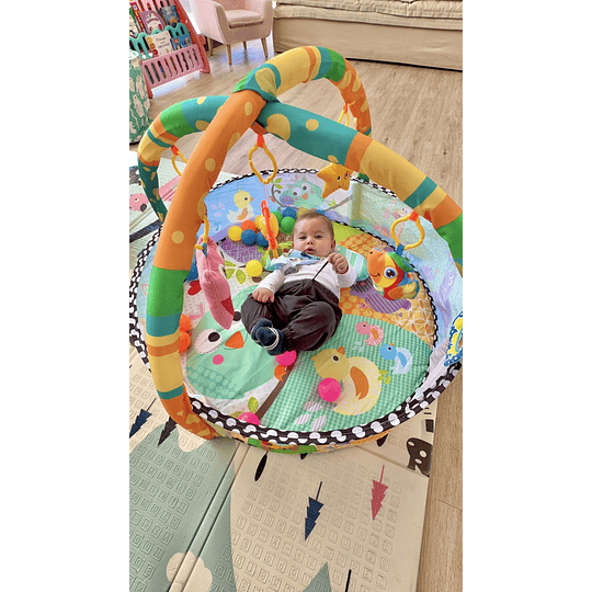 Gimnasio infantil Joy & Play - 