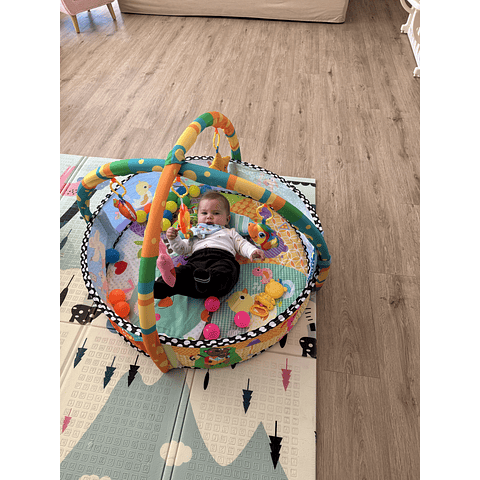 Gimnasio infantil Joy & Play - "PRODUCTO ARMADO"