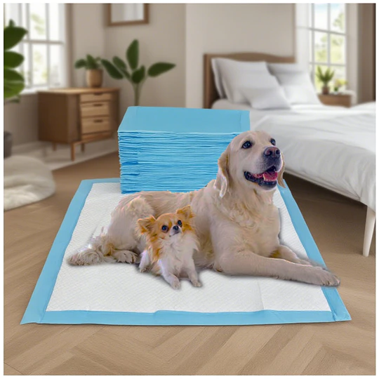 Sabanillas para Perros 60x60 cm PetsCool 40 Unidades 6 Capas Ultra Absorbentes 