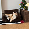 Cama Sofá Antiestrés Perro Gato M Cafe Lavable PetsCool 