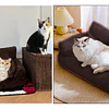 Cama Sofá Antiestrés Perro Gato M Cafe Lavable PetsCool 