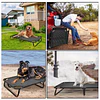 Cama Elevada para Perro PetsCool Talla M Plegable 30 KG Negra 