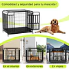 Jaula Corral para Perro y Gato Grande Petscool, Doble puerta, Bandeja y Ruedas