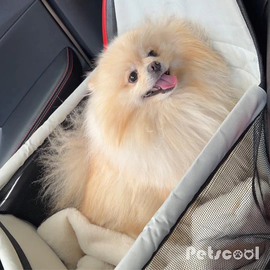 Cama Premiun Beige Para Mascotas