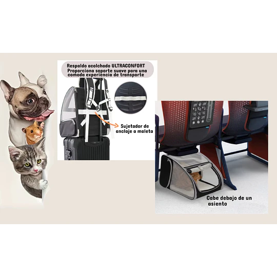 Mochila Transporte Mascota Black