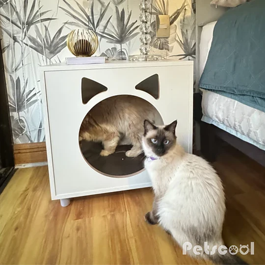 Velador Blanco Pet Para Gato Con Cojín