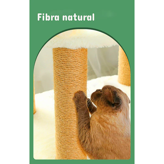 Rascador Cama Blanco Para Gato