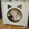 Velador Blanco Pet Para Gato Con Cojín