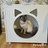 Velador Blanco Pet Para Gato Con Cojín