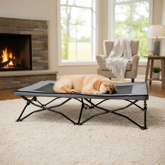 Cama Elevada Plegable para Perro Talla L PetsCool Soporta 90 KG 