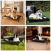 Cama Elevada Perros Grandes PetsCool Talla L Soporta 40kg