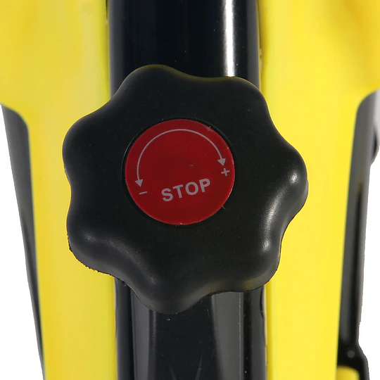 Spinning Intensity Yellow 6 Kg