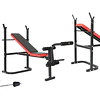 Banca de Pesas Plegable Con Barra y Discos 20kg Live Sport ES-543D Negra