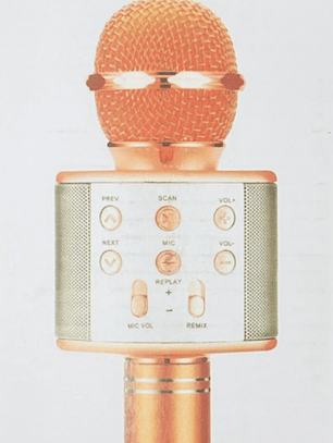  MICROFIONO KARAOKE NIÑO CAMBIA DE VOZ 