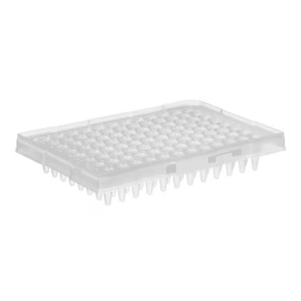 Placa PCR Medio Faldón (PCR Plate Half Skirt) 0,2 mL (Pack 10 unidades) 1