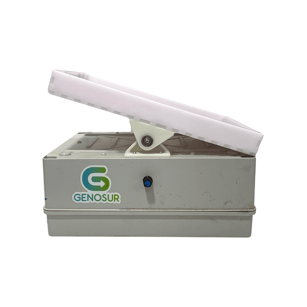 Kit de Proteinas Bio Rad 6