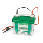 Kit de Proteinas Bio Rad 1