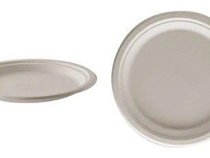 Plato Biodegradable 22.5 Cm (20 Unidades)