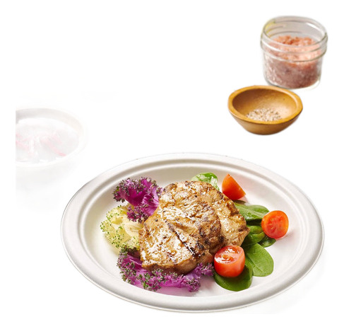 Plato Biodegradable 22.5 Cm (20 Unidades) 3