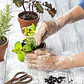 Guantes Plásticos Desechables (100 Unidades) - Miniatura 4