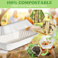 Envase Biodegradable / Porta Colación / Comidas (Caja 250 Unidades) - Miniatura 3