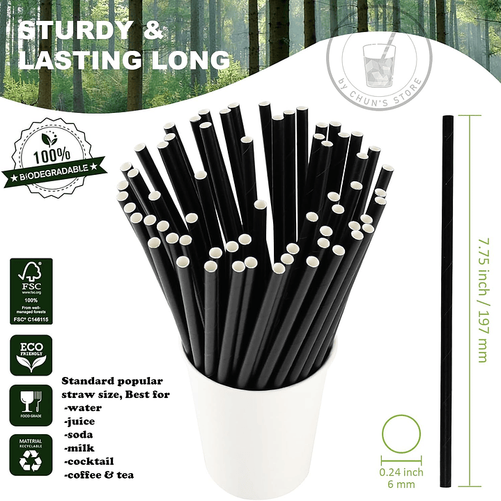 Bombillas De Papel Con Funda (6 X 195 Mm 500 Unidades) 7