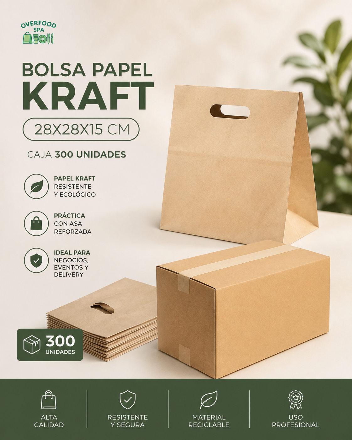 Bolsa Papel Kraft 28x28x15 Cm (caja 300 Unidades)  1