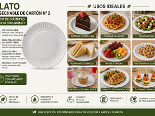 Plato Desechable Cartón N° 2 (100 Unidades)