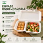 Envase Biodegradable con División (caja 250 Unidades) - Miniatura 1