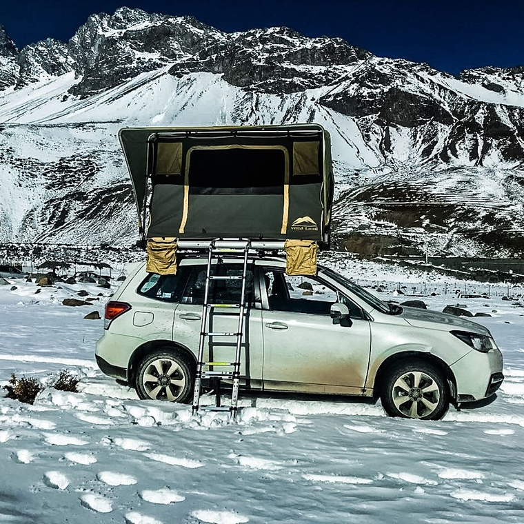 Carpa Normandy - Wild Land 2