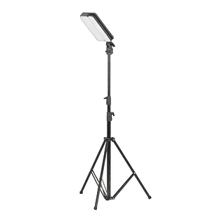 Luz Led Galaxy - Wild Land