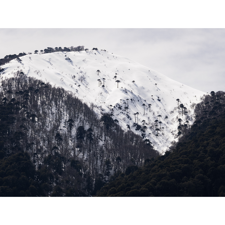 Travesía Overland - Araucania Andina 3