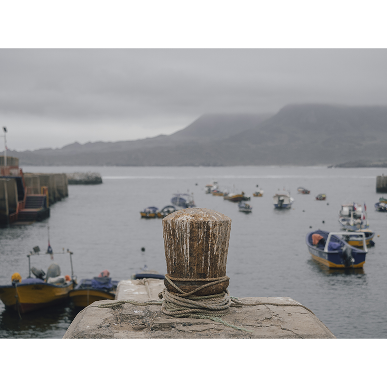 Travesía Overland - Ruta costera 4