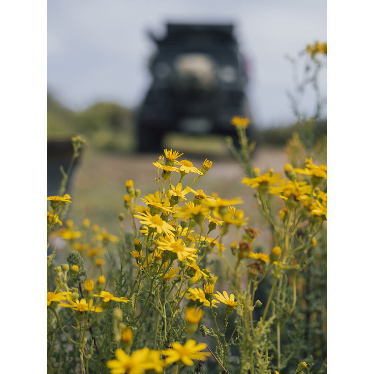 Travesía Overland - Ruta costera 5