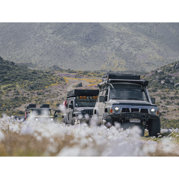 Travesía Overland - Ruta costera 2