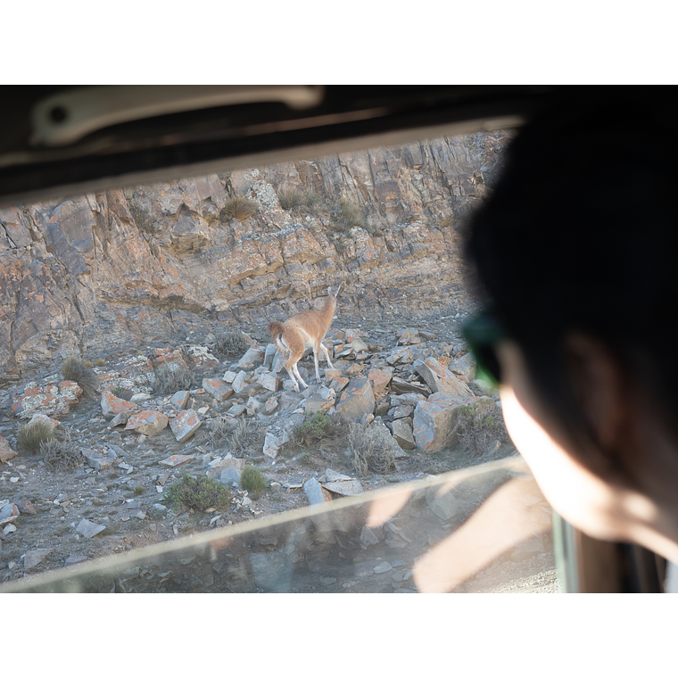 Travesia Overland - Mendoza 8