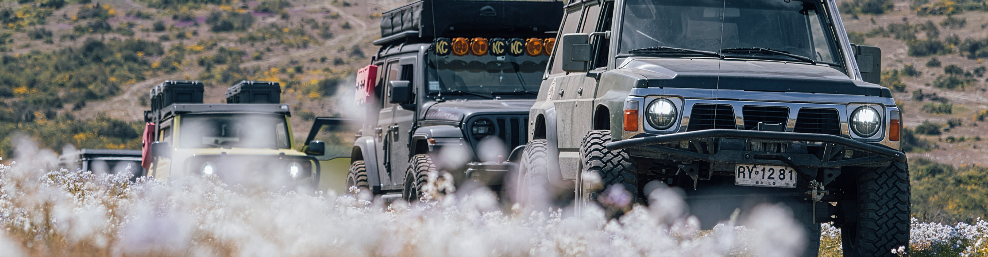 ¿Cuántos vehículos son demasiados?