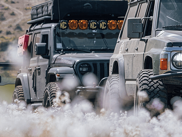 ¿Cuántos vehículos son demasiados?