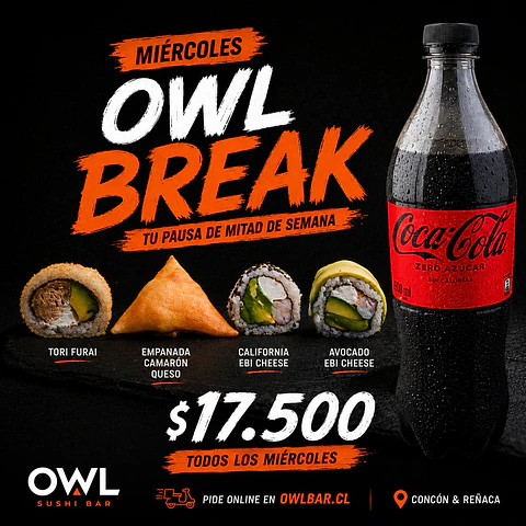 Promo Owl Break