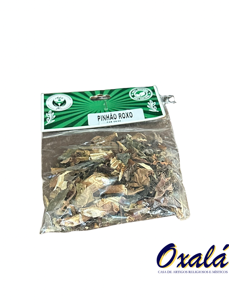 Erva Pinhão Roxo 1