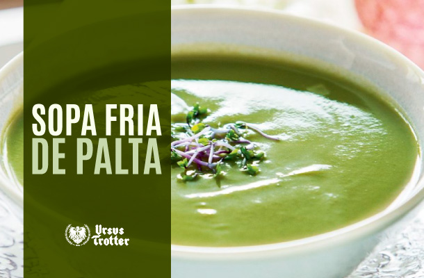 Sopa fría de palta