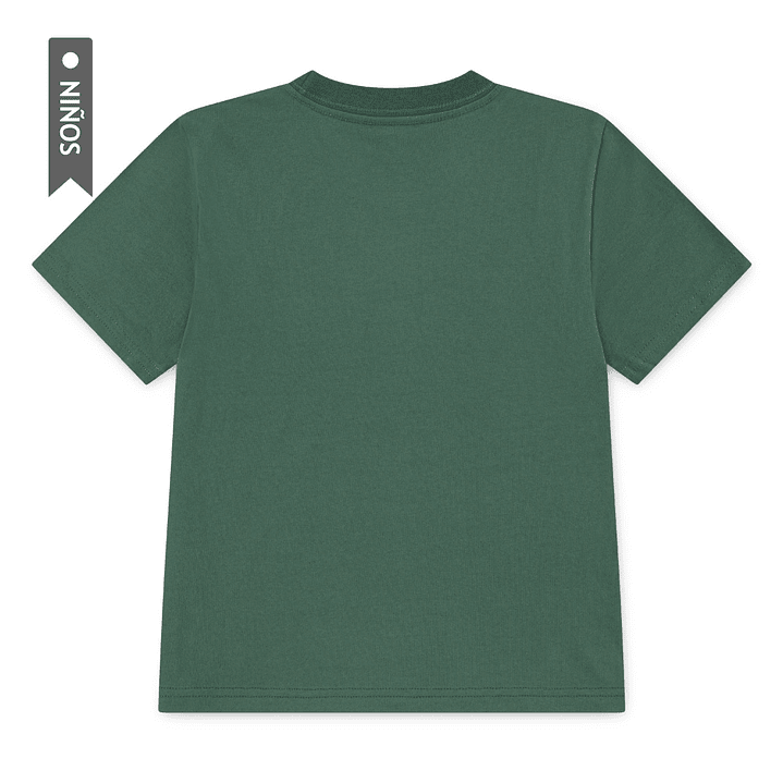 Camiseta Nike Nkb Snowboard Boxy Niño-Verde 2